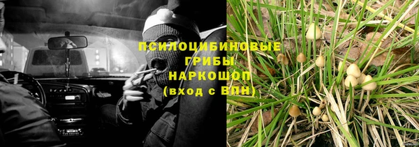 спиды Алексин