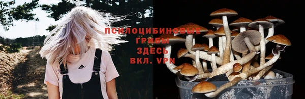 спиды Алексин