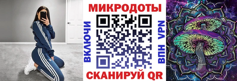 Псилоцибиновые грибы GOLDEN TEACHER  цена наркотик  mega рабочий сайт  Королёв 